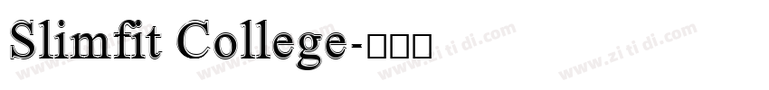 Slimfit College字体转换